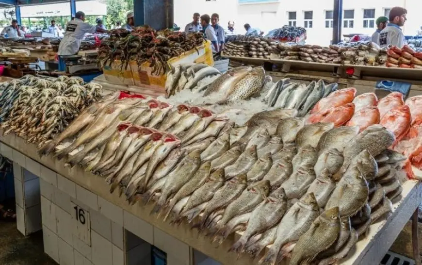 ارتفاع في أسعار الأسماك اليوم الأحد بأسواق الإسكندرية.. البوري يصل إلى 140 جنيها للكيلو