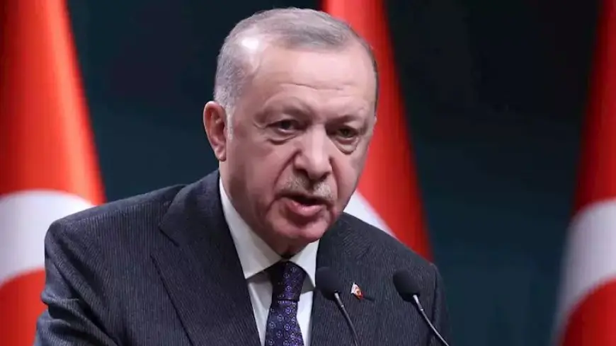 أردوغان: إسرائيل منزعجة للغاية من قوة تركيا في المنطقة