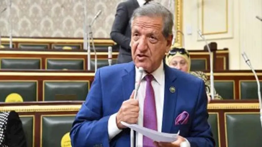 فترة سماح تتخطى 10 سنوات.. رئيس الخطة: قرض مصر “للاستدامة” يسدد على 20 سنة بسعر فائدة 2.5%