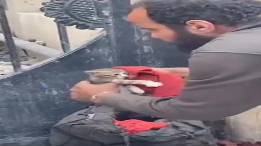 “أنا المهدي المنتظر”.. ضبط شخص يقيد القطط داخل حقيبة بالجيزة