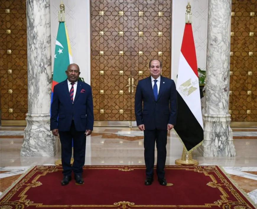 الرئيس السيسي: مستعدون لنقل خبراتنا التنموية إلى الدول الإفريقية