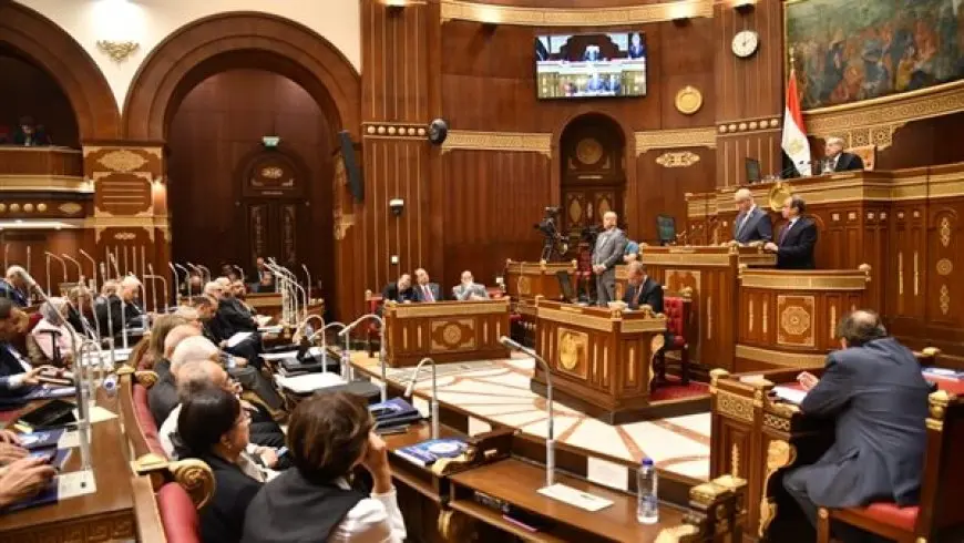 مطالبات بمجلس الشيوخ بإصدار قانون خاص للأمن السيبراني