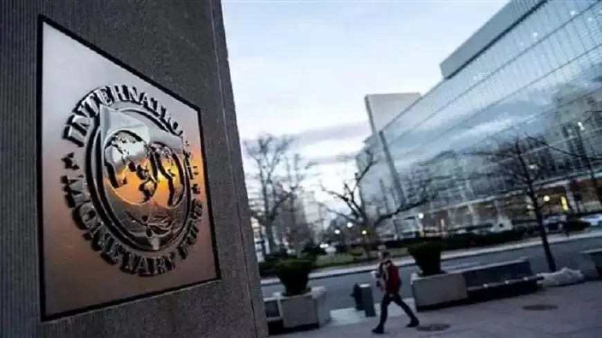 “إتش سي”: التحول الجذري في صافي الأصول الأجنبية جاء بدعم الاستثمارات الأجنبية وتمويلات صندوق النقد