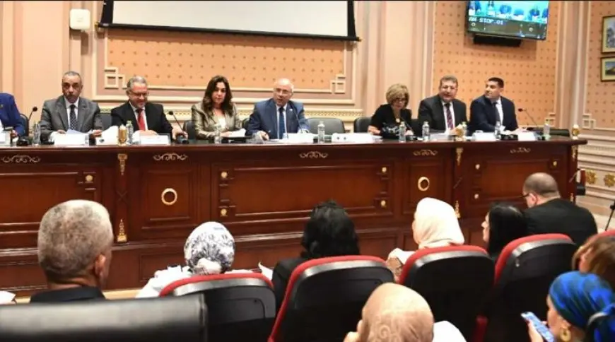 ممثل الجهاز المركزي للإحصاء خلال مناقشات الإيجار القديم: لا نملك بيانات بحالة المستأجرين الاقتصادية