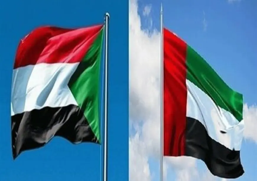 محكمة العدل الدولية تسقط دعوى السودان ضد الإمارات