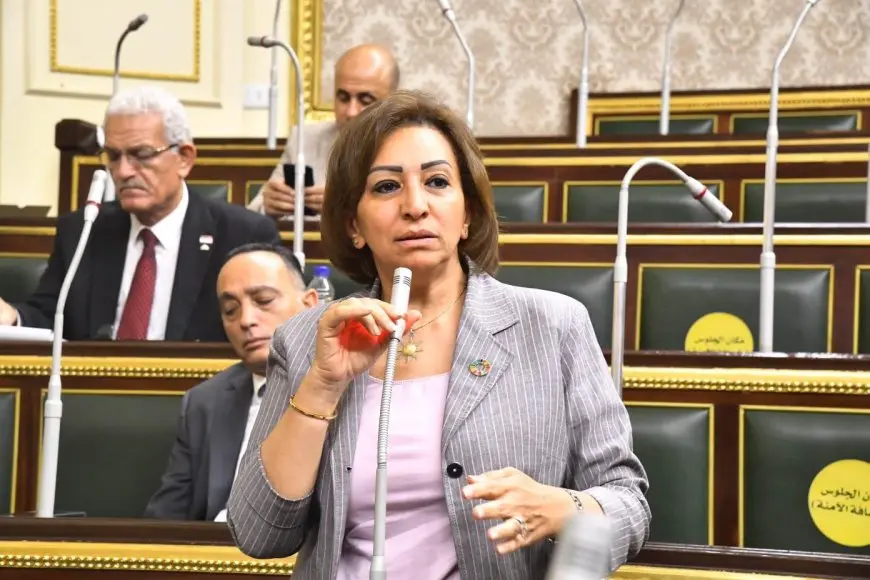 النائبة مها عبد الناصر عن البنزين المغشوش: أزمة متعددة الأبعاد تستوجب استجابة حكومية واضحة