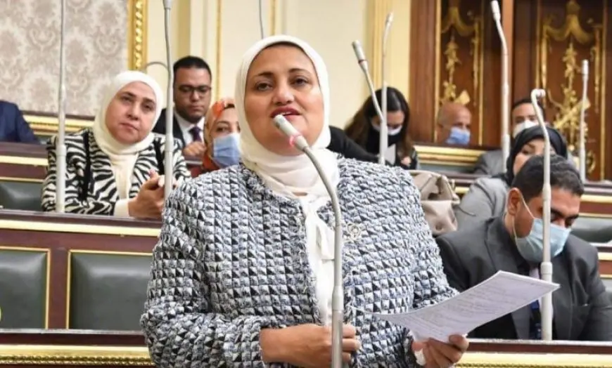 الإيجار القديم.. النائبة سناء السعيد تقترح تحديد حد أدنى 2000 جنيه للمناطق الأعلى قيمة سوقية و200 جنيه للقرى