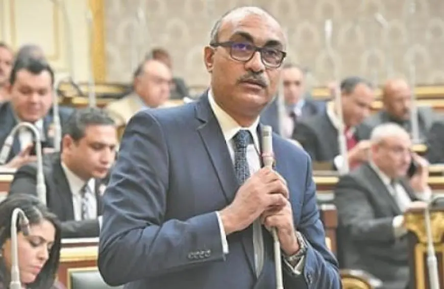 النائب إيهاب منصور يقترح تقسيم الجمهورية لشرائح في قانون الإيجار القديم: لا لقيمة ومدة واحدة