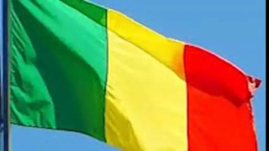 الحكومة العسكرية في مالي تعلق أنشطة الأحزاب السياسية