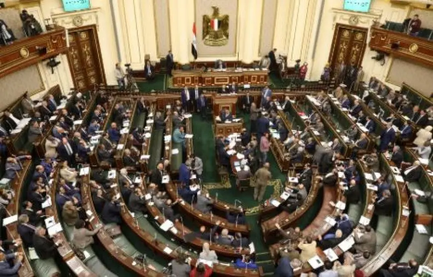 مجلس النواب يناقش تنظيم إصدار الفتوى الشرعية ومزاولة مهنة الصيدلة الأسبوع المقبل