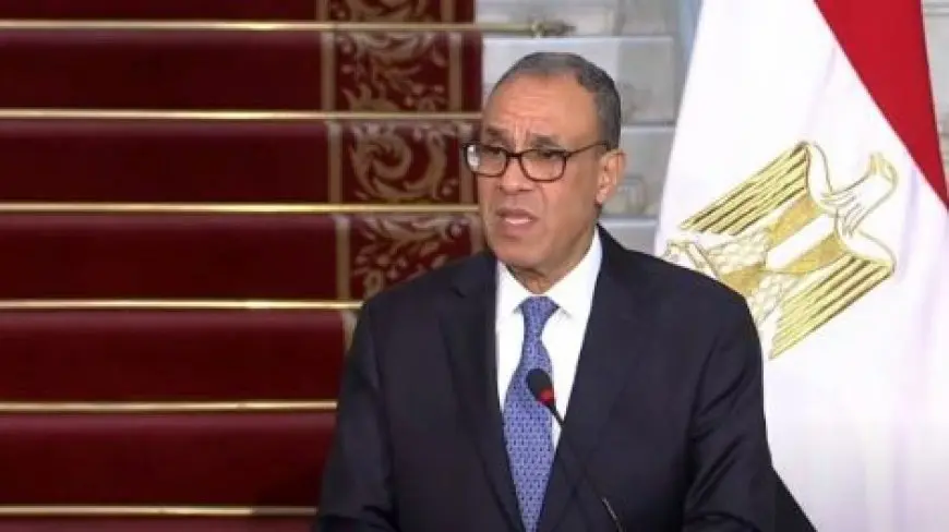 وزير الخارجية: جهود مصرية مكثفة لوقف إطلاق النار في غزة واستعادة اتفاق يناير