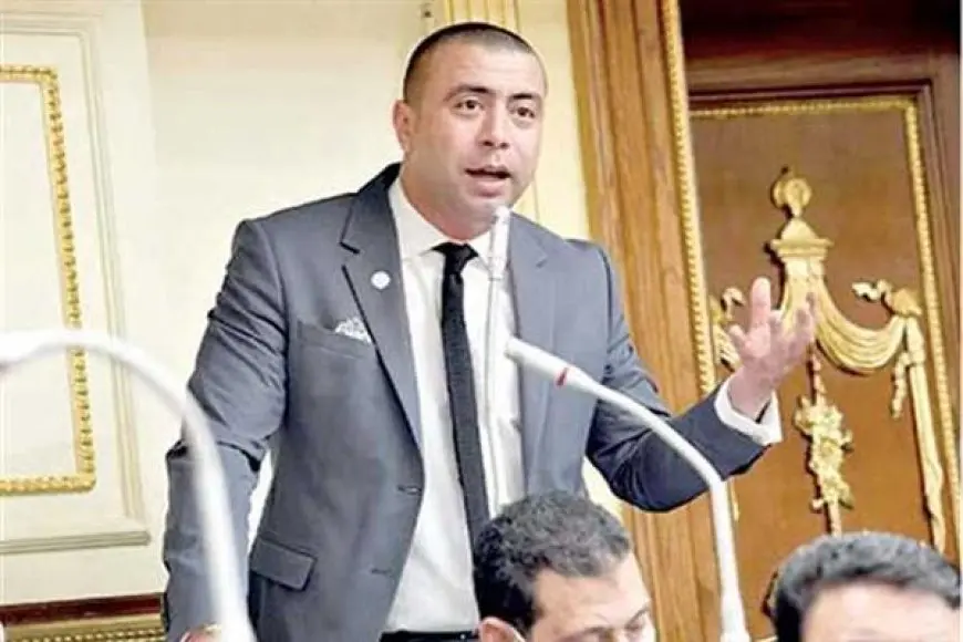 النائب أحمد بهاء شلبي: قانون تنظيم الفتوى لا يمت بصلة لحرية الرأي والصحافة