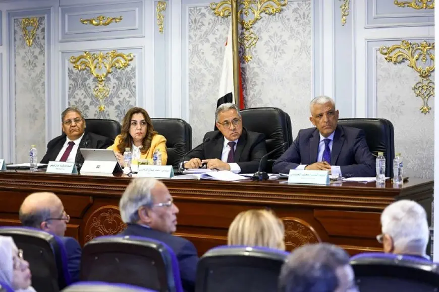 التنمية المحلية: 4.3 مليار جنيه موازنة الوزارة للعام الجديد بزيادة 525 مليون جنيه عن العام الماضي