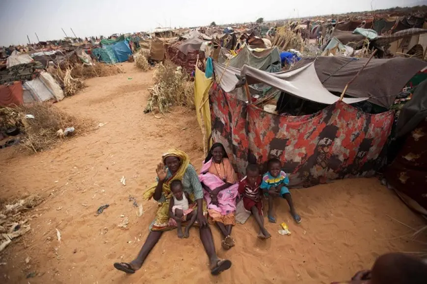 الحكومة السودانية: مقتل 20 نزيلا في قصف بالمسيرات لسجن بغربي السودان