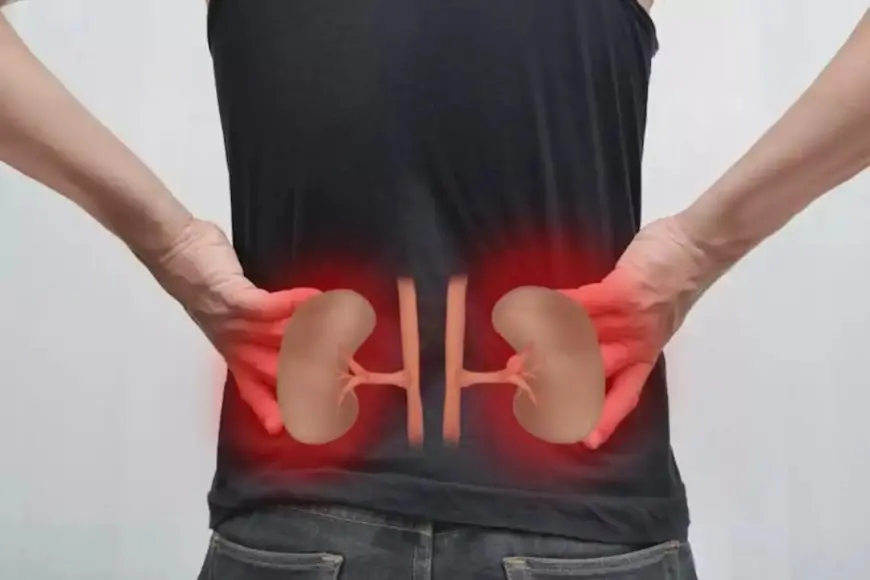 5 عادات يومية تهدد صحة الكلى.. احذرها