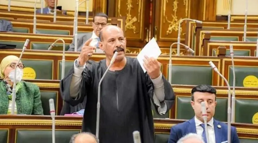 النائب مجدي ملك: عجز في أعداد الصيادلة بالمنيا.. وفتحي قنديل ينادي الوزير مطالبا بالتوسع في غرف الرعاية المركزة بنجع حمادي