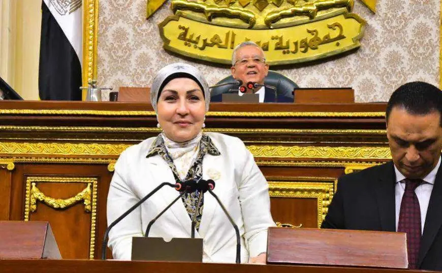 النائبة هالة أبو السعد: تطور المنظومة الصحية في مصر تجاوز الـ 200% ونحتاج إلى مضاعفة الموازنة