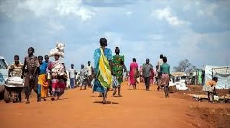 منظمة الهجرة الدولية: نزوح 7 آلاف أسرة سودانية في غرب كردفان بسبب انعدام الأمن