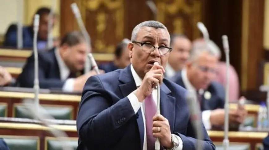 النائب مصطفى سالم ينتقد وزارة الشباب: ملاعب معطلة منذ 10 سنوات وعلى الوزارة تحسينها