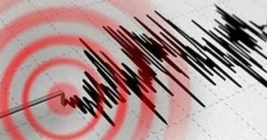 شبكة الزلازل: لا خسائر جراء الهزة الأرضية شمالي رشيد.. وحدثت توابع لم يشعر بها أحد