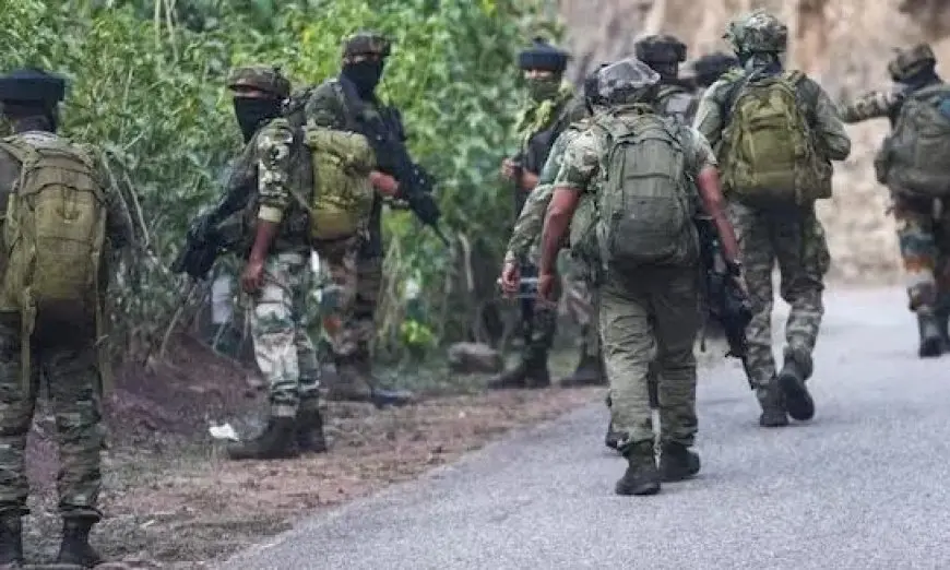 الهند: مقتل 31 مسلحا ماويا في مواجهة مع قوات الأمن