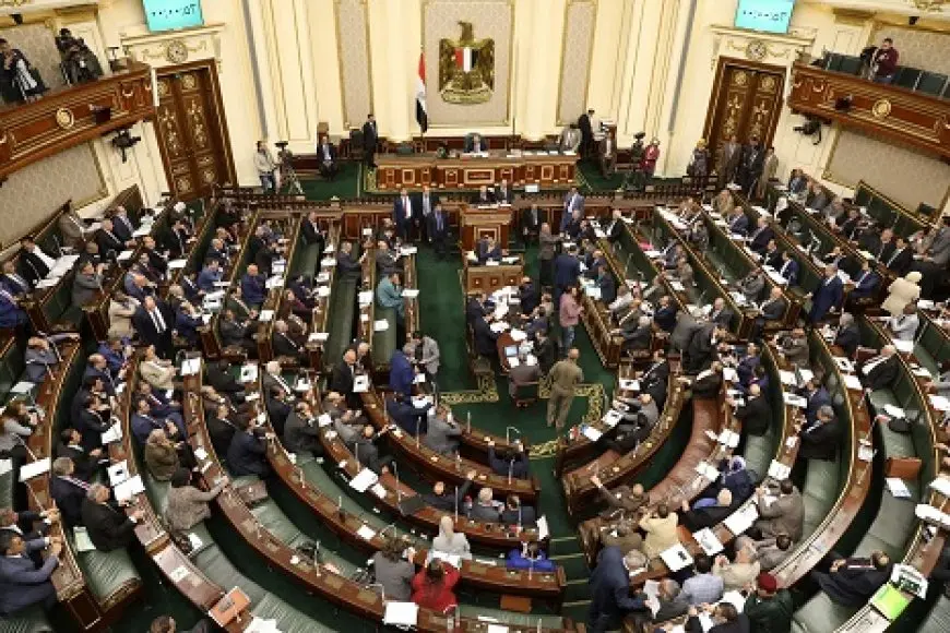 خطة النواب تناقش موازنة التضامن الاجتماعي للعام المالي الجديد