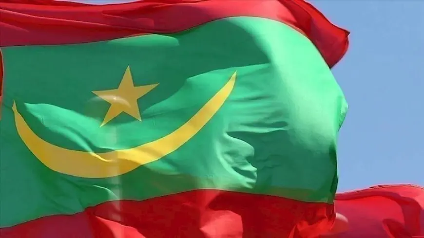 موريتانيا.. فتوى رسمية بتحريم تناول الدجاج الوارد من الصين