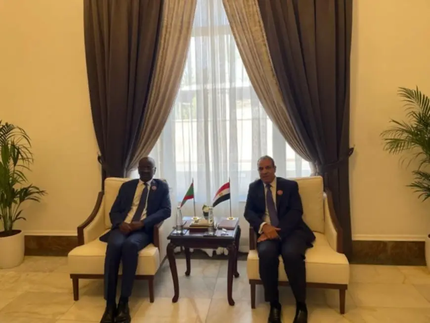 توافق مصري موريتاني حول تكثيف التنسيق بين الجانبين بما يسهم فى دعم الأمن والاستقرار في المنطقة