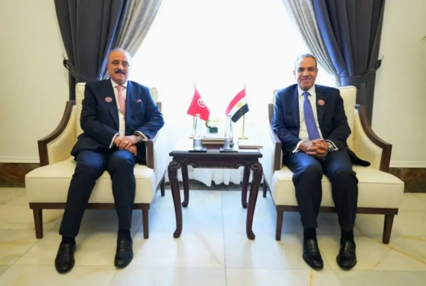 وزير الخارجية ونظيره التونسي يبحثان المستجدات في غزة وليبيا