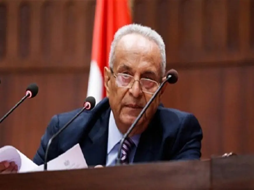 بهاء أبو شقة: أُطمئن الجميع قانون الإيجار القديم لن يخرج إلا منضبطا دستوريا