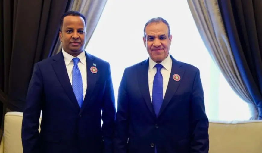 عبد العاطي: ضرورة العمل على تعزيز جهود الأمن والاستقرار في الصومال