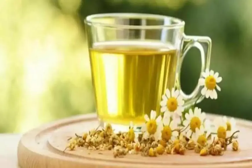 فوائد شرب كوب من الينسون على صحة الجسم يوميا
