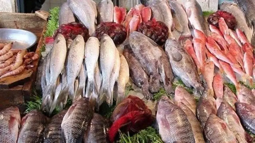 البوري يبدأ بـ100 جنيه.. ارتفاع في أسعار الأسماك اليوم بأسواق الإسكندرية