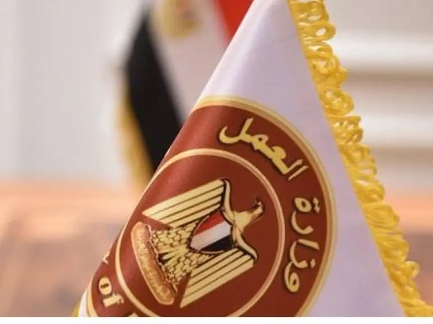 العمل: 5242 فرصة جديدة في 50 شركة خاصة تستهدف شباب 8 محافظات