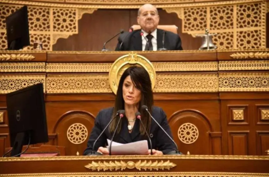 وزيرة التخطيط: خطة التنمية الاقتصادية الجديدة تستهدف زيادة الاستثمارات الكلية إلى 3.5 تريليون جنيه