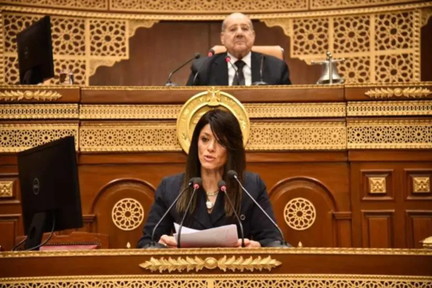 رانيا المشاط: الاستثمارات الكلية المتوقعة للتنمية البشرية في العام المالي المقبل تصل إلى 700 مليار جنيه