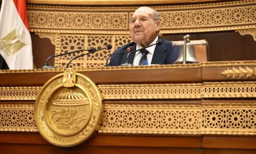 رئيس مجلس الشيوخ: القضاء المصري عريق وما يصدر عنه محل تقدير