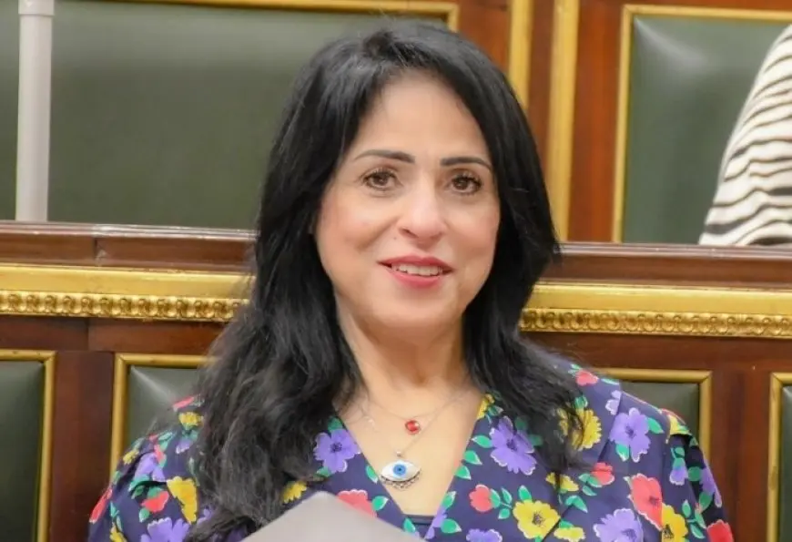 النائبة ميرال الهريدي: مصر تدعم حق الشعب اللبناني في سيادته وترفض الانتهاكات الإسرائيلية المهددة للأمن القومي العربي