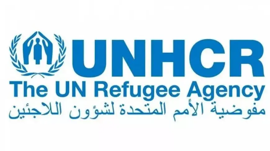 مفوضية اللاجئين تعتزم إلغاء أكثر من 3 آلاف وظيفة.. ما السبب؟