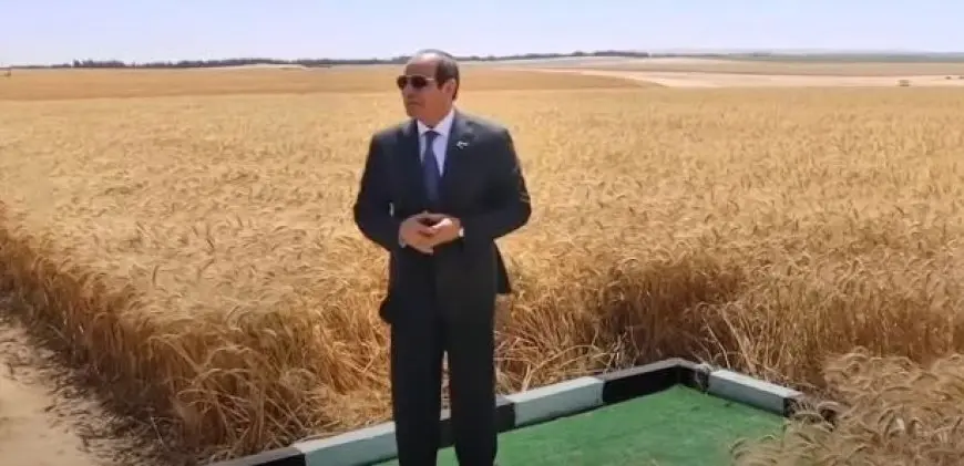 موسم حصاد القمح 2025.. الرئيس السيسي يشاهد فيلما تسجيليا بعنوان القدرة والتنمية