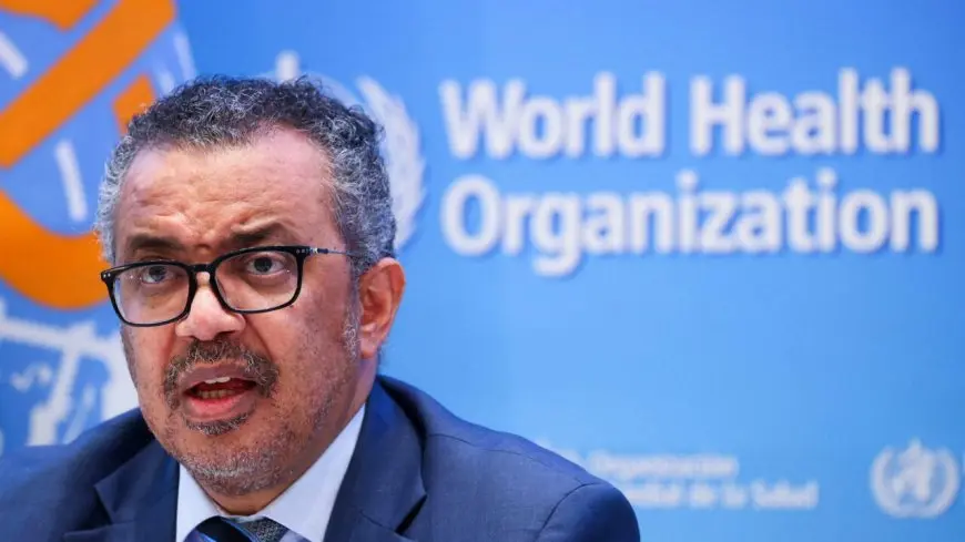 الصحة العالمية: مستعدون للتحرك فورا من أجل إدخال المساعدات إلى غزة