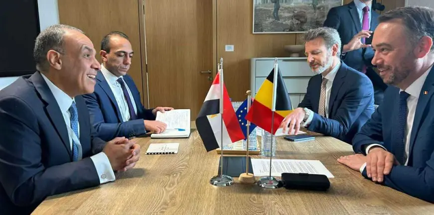 وزير الخارجية لنظيره البلجيكي: ضرورة تضمين مصر ضمن وجهات البعثات الاقتصادية البلجيكية