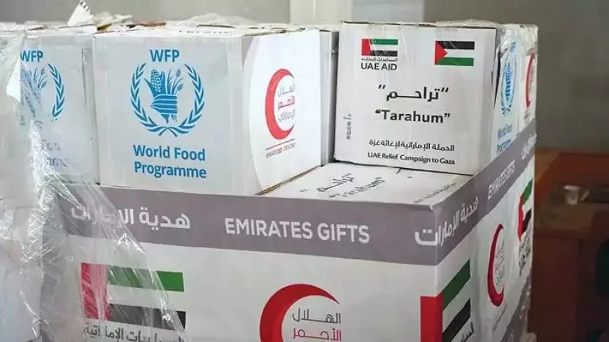 الأغذية العالمي: أكثر من 116 ألف طن من المساعدات الغذائية جاهزة لدخول غزة