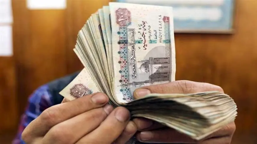 أحدهما ربح 80 مليار جنيه.. الرابحون والخاسرون من خفض المركزي سعر الفائدة 1% اليوم