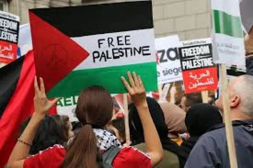 باريس: التحرك للاعتراف بدولة فلسطينية لن يتوقف
