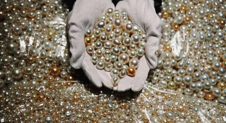 الأمم المتحدة: ارتفاع الطلب على معادن الطاقة النظيفة يغذي الجريمة والفساد عالميا