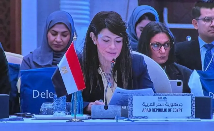 المشاط: الاستقرار الاقتصادي ضرورة لدفع النمو لكنه لا يكفي بدون إصلاحات لتمكين القطاع الخاص