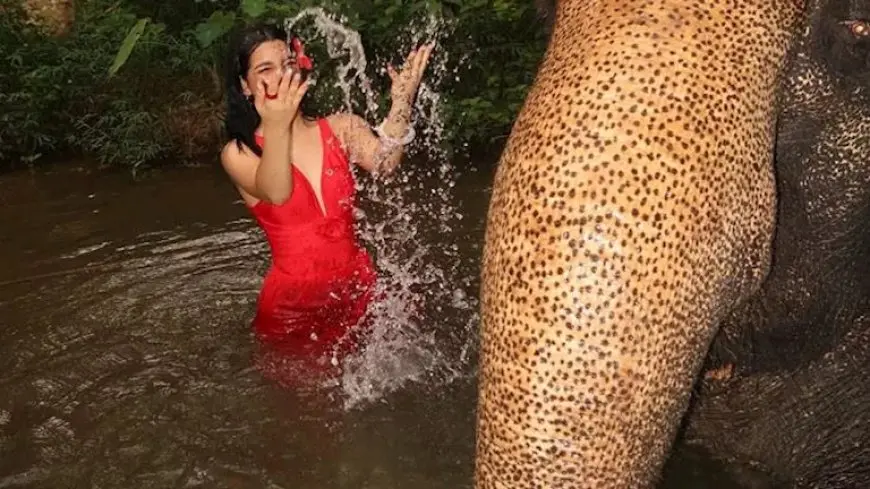 بعد أزمتها مع زوجة مسلم.. 25 صورة لـ أروى قاسم