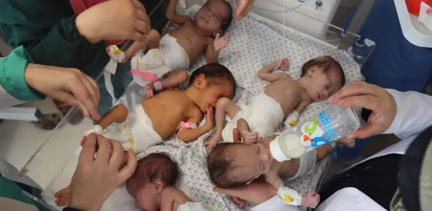 المقرر الأممي للحق في الغذاء: 14 ألف رضيع في غزة قد يموتون إذا لم تدخل المساعدات الآن