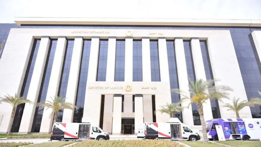 فرص عمل للمصريين في الأردن بمجال تربية الطيور..شروط وخطوات التقديم